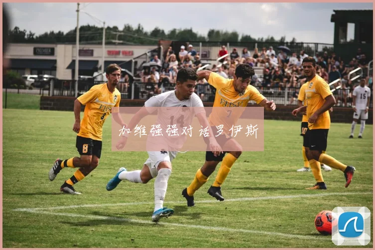 加维强强对话罗伊斯