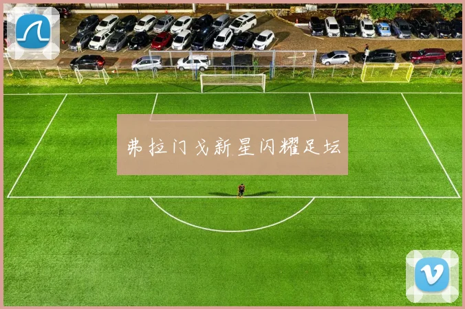 弗拉门戈新星闪耀足坛