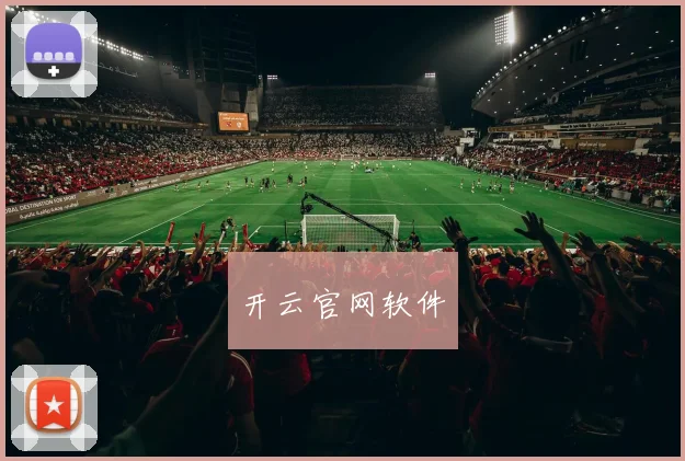 开云官网软件