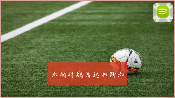 加纳对战马达加斯加