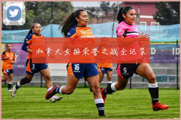 加拿大女排荣誉之战全记录