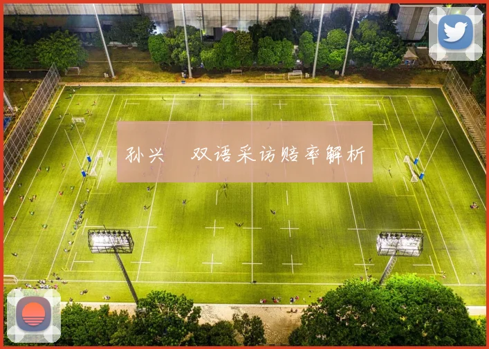 孙兴慜双语采访赔率解析