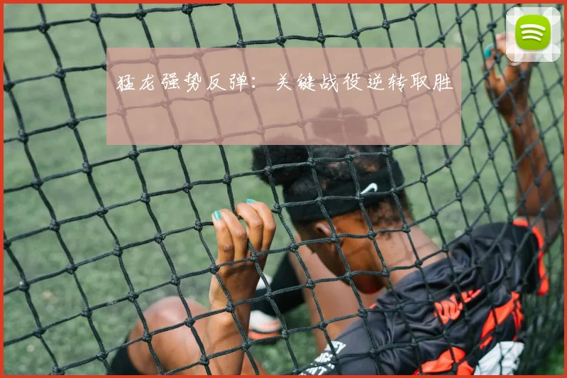 猛龙强势反弹：关键战役逆转取胜