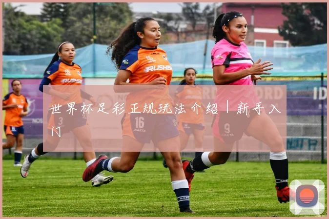 世界杯足彩正规玩法介绍｜新手入门