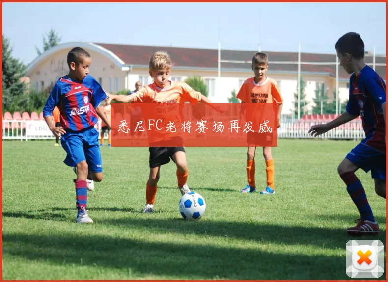 悉尼FC老将赛场再发威