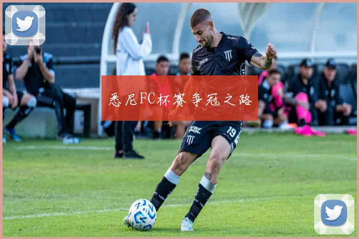 悉尼FC杯赛争冠之路