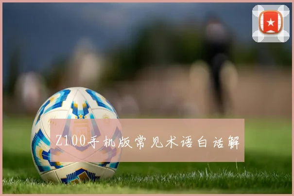 Z100手机版常见术语白话解