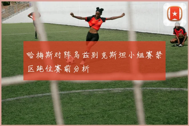 哈梅斯对阵乌兹别克斯坦小组赛禁区跑位赛前分析